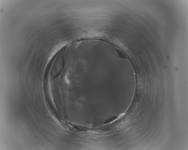 X0000076450626200610161312