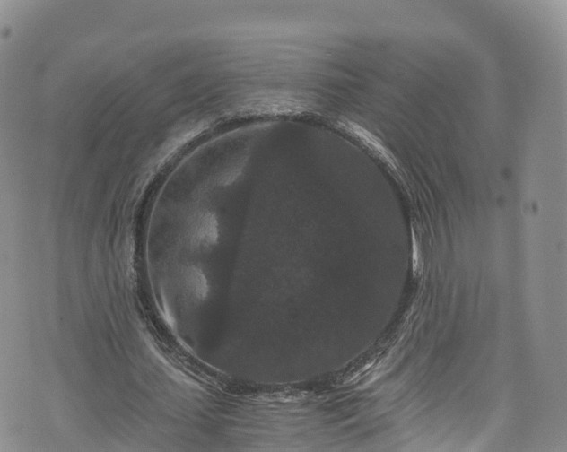 X0000076450627200610161312