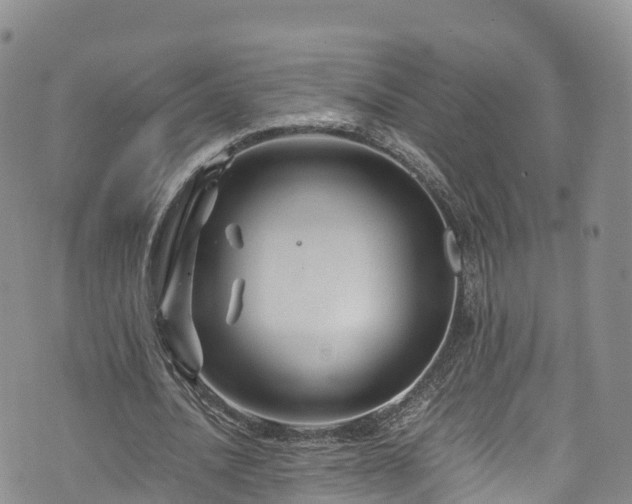 X0000076450628200610161312