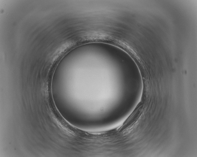 X0000076450629200610161312