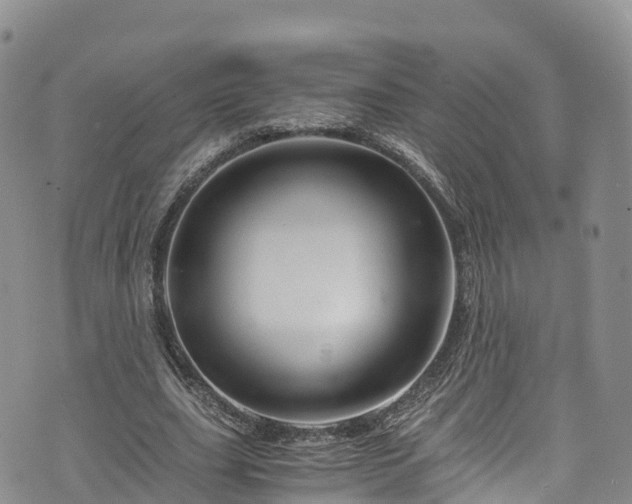 X0000076450631200610161312