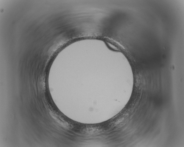 X0000076450632200610161312