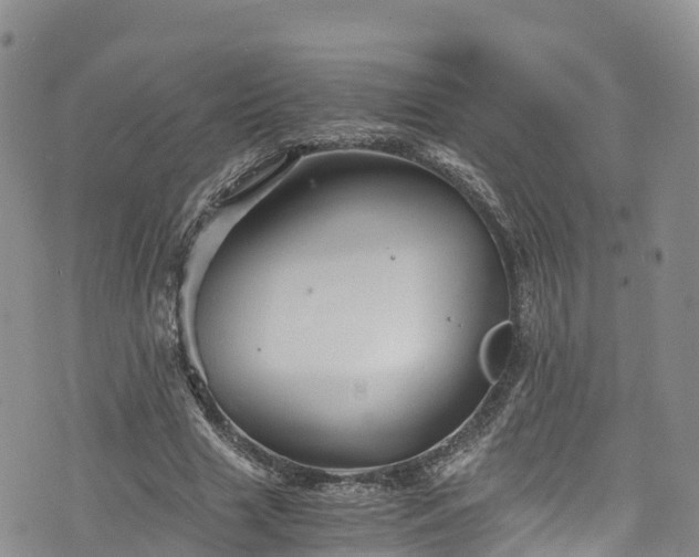 X0000076450633200610161312