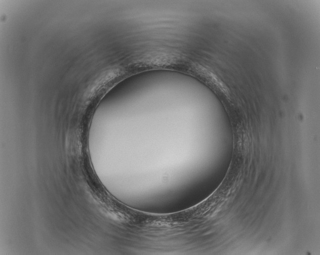 X0000076450635200610161312