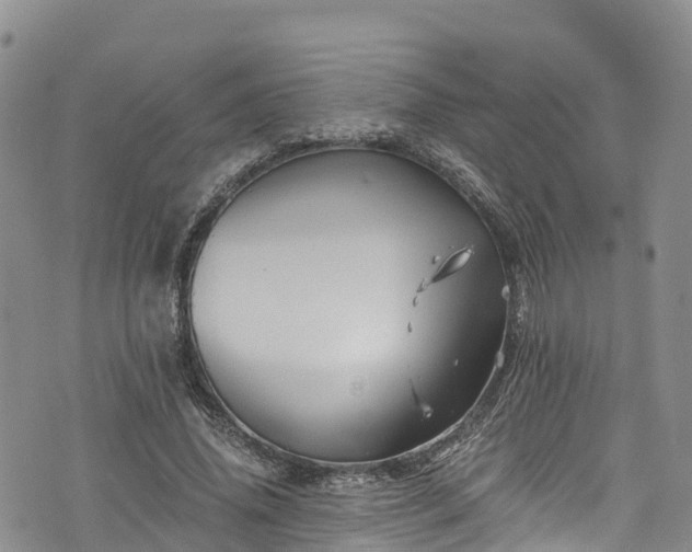 X0000076450636200610161312