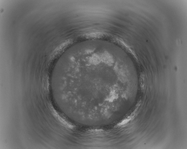 X0000076450637200610161312