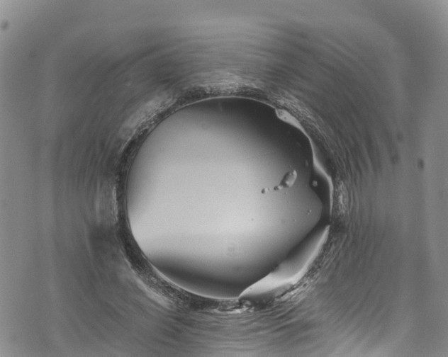 X0000076450638200610161312