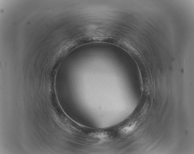 X0000076450639200610161312