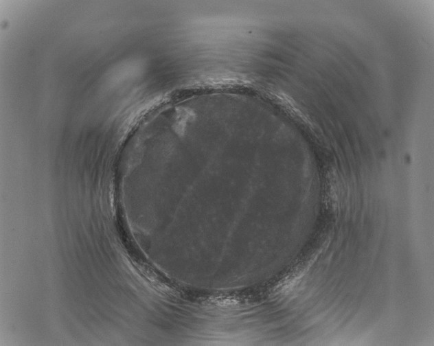 X0000076450640200610161312