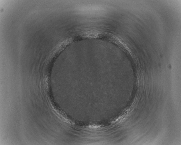 X0000076450641200610161312