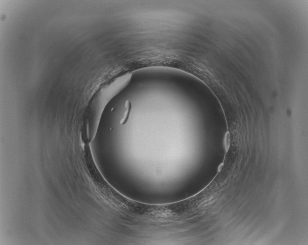 X0000076450642200610161312