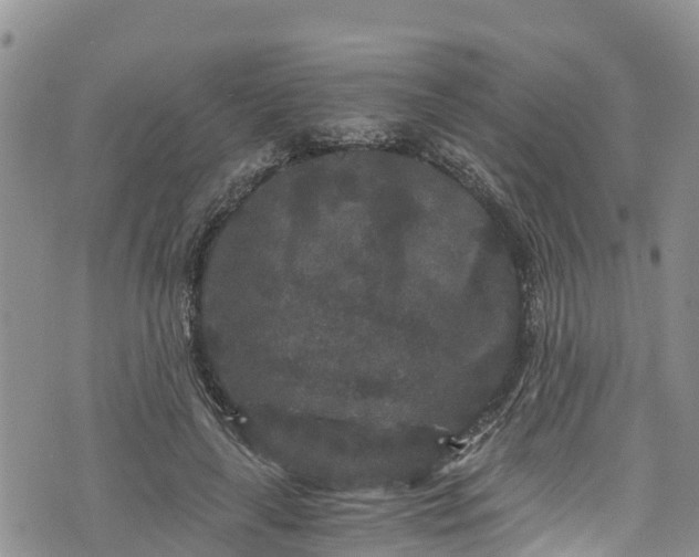 X0000076450643200610161312