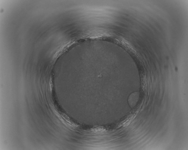 X0000076450644200610161312