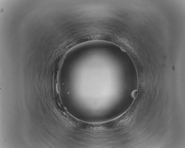 X0000076450645200610161312