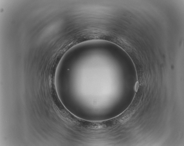 X0000076450646200610161312