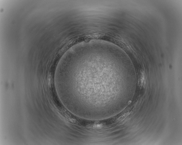 X0000076450647200610161312