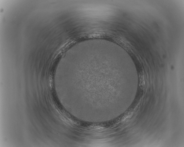 X0000076450648200610161313