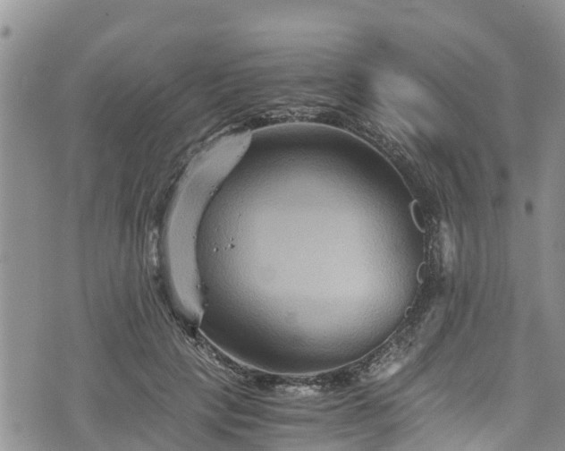 X0000076450649200610161313