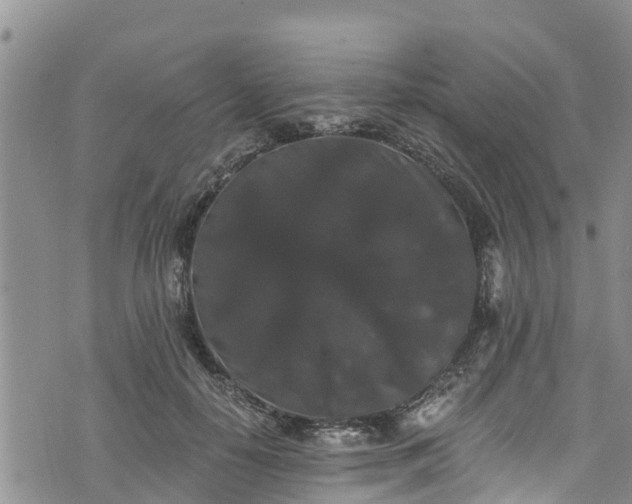 X0000076450650200610161313