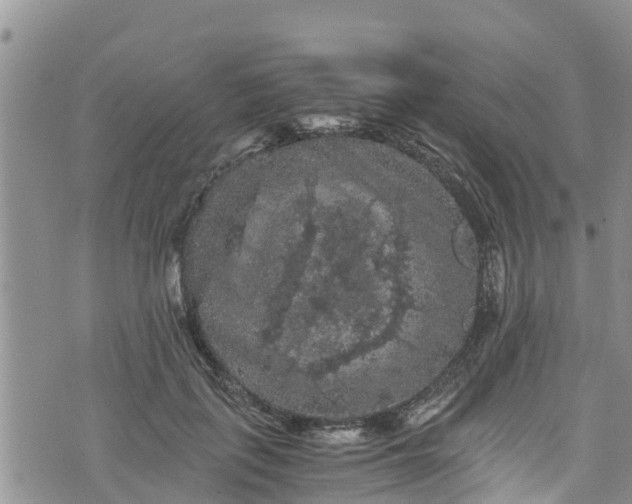 X0000076450651200610161313