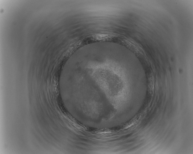 X0000076450653200610161313