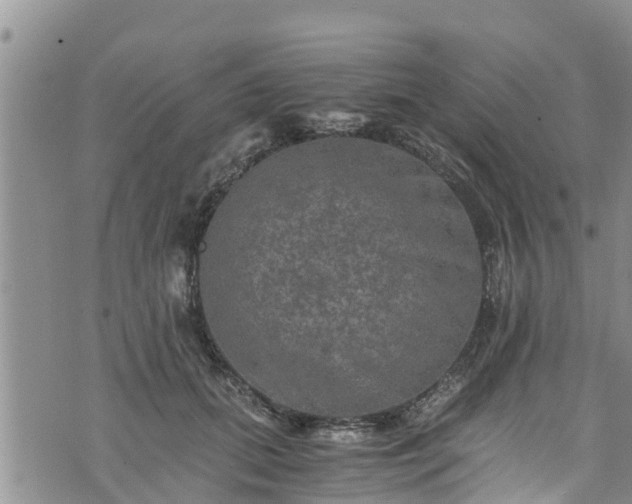 X0000076450655200610161313