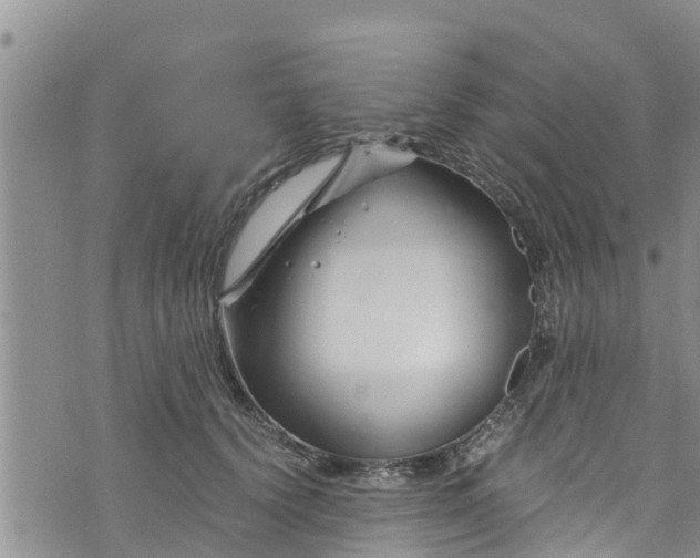 X0000076450656200610161313