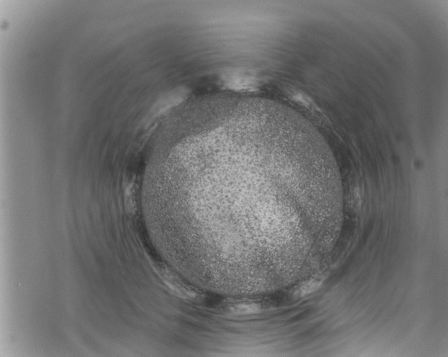 X0000076450658200610161313