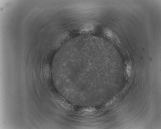 X0000076450659200610161313