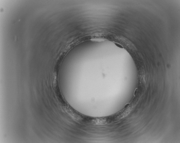 X0000076450660200610161313