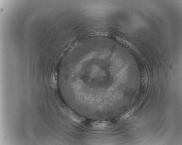 X0000076450661200610161313