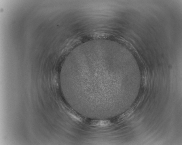 X0000076450663200610161313