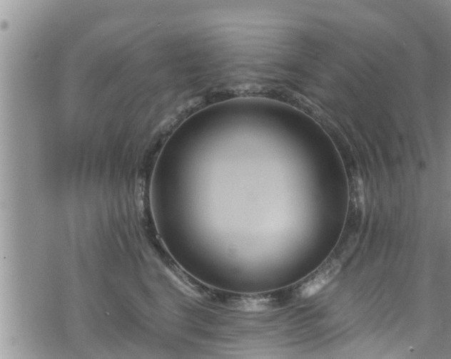 X0000076450664200610161313