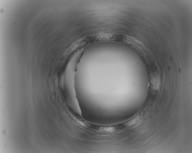 X0000076450665200610161313