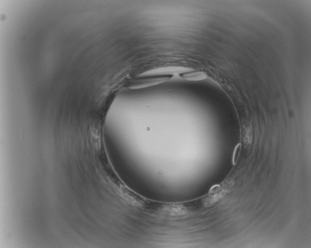 X0000076450666200610161313