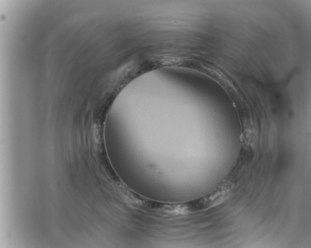 X0000076450667200610161313