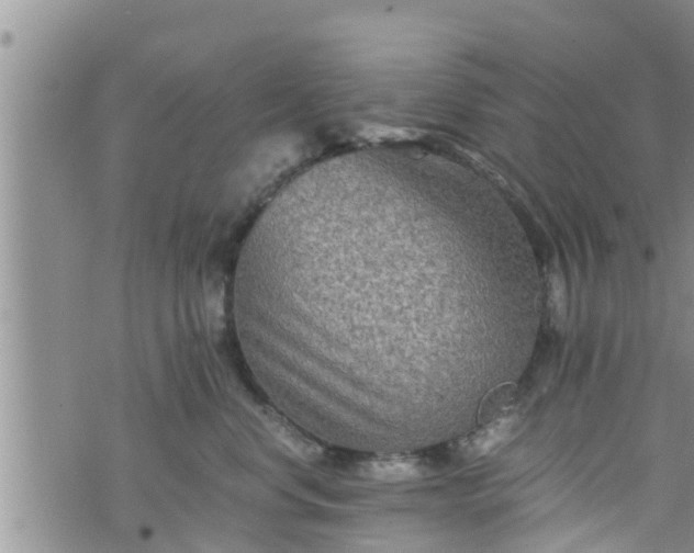 X0000076450668200610161313