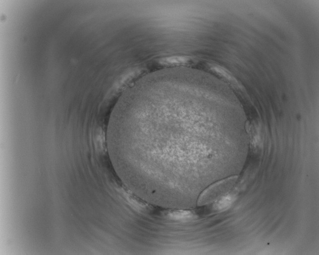 X0000076450669200610161313