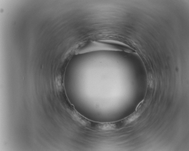 X0000076450670200610161313