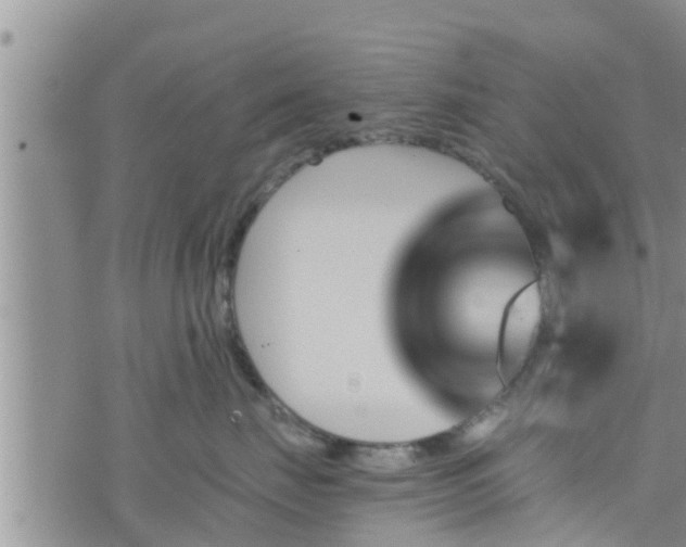 X0000076450671200610161313