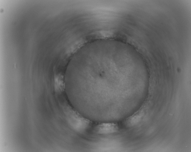 X0000076450672200610161313