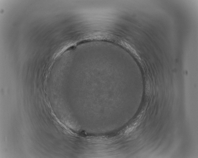 X0000076450673200610161312