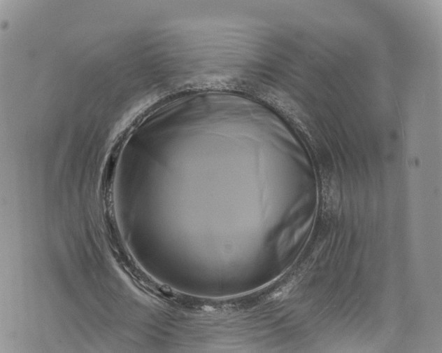 X0000076450674200610161312