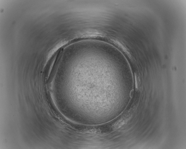 X0000076450675200610161312