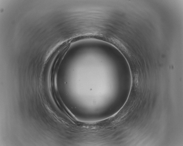 X0000076450676200610161312