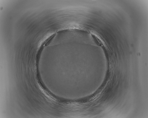 X0000076450677200610161312