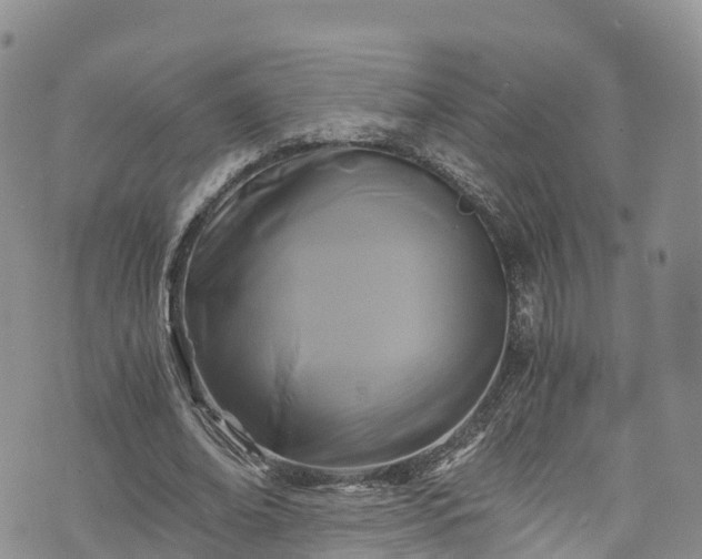 X0000076450678200610161312