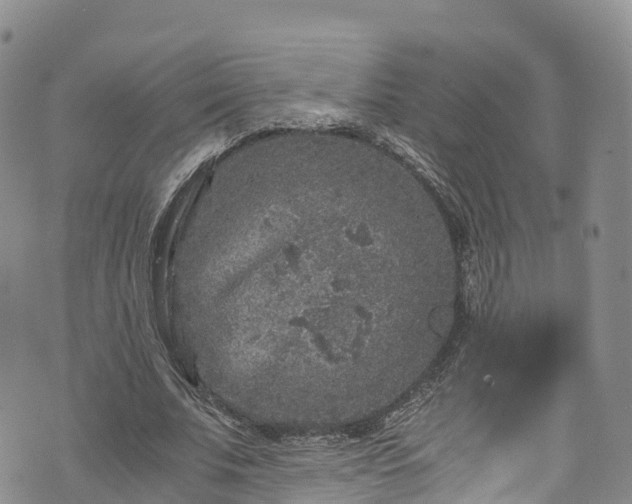 X0000076450679200610161312