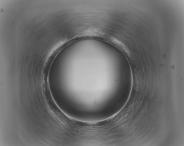 X0000076450680200610161312