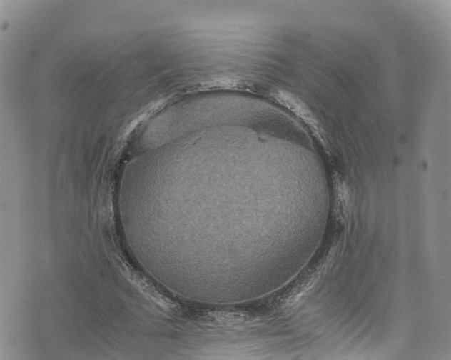 X0000076450681200610161312